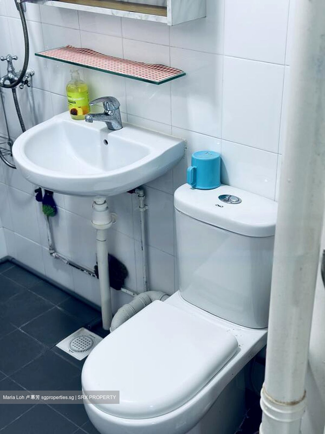 Blk 419 SUN PLAZA GARDENS (Tampines), HDB 4 Rooms #486398361